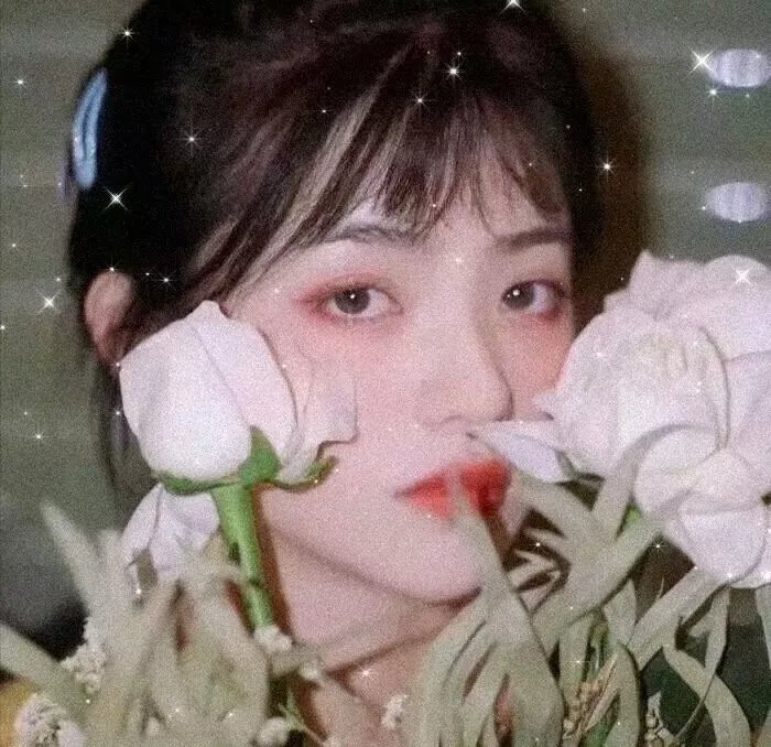 美少女特工队